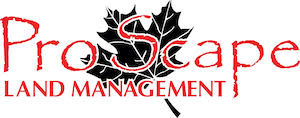 Pro Scape Land Management